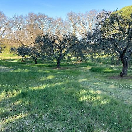Casal Ponziani Per Civita E Dintorni Vila Bagnoregio Exterior foto